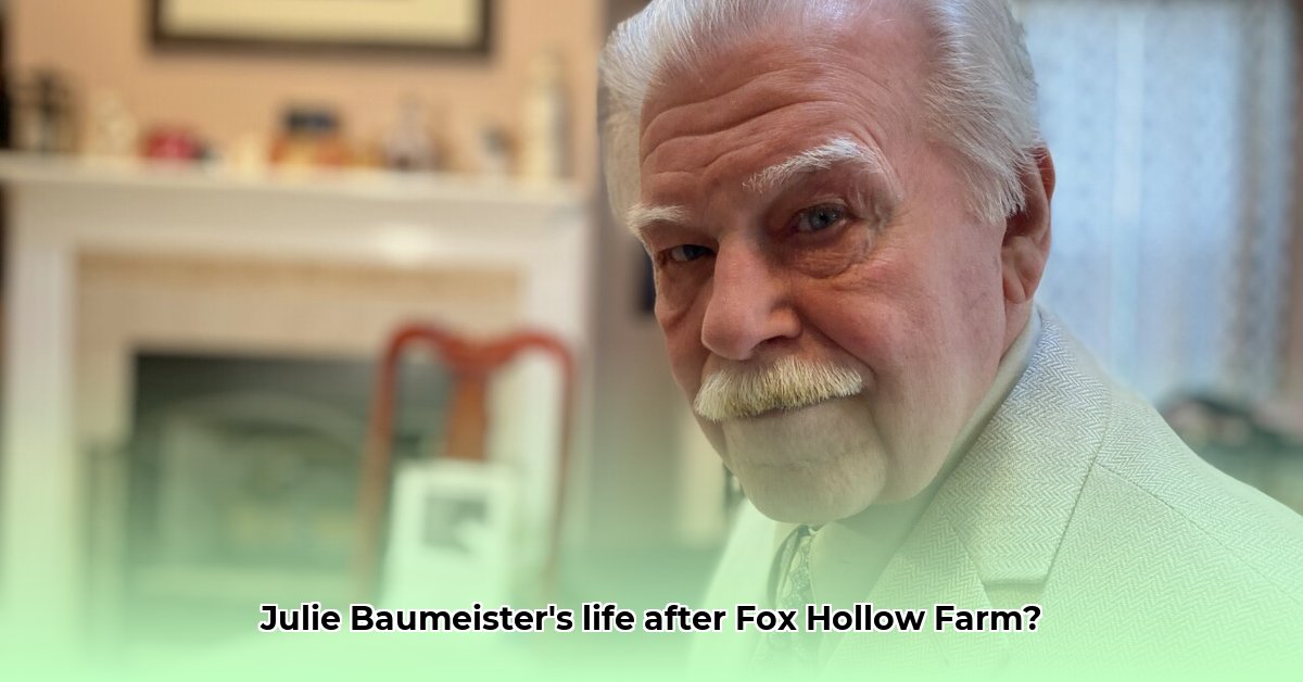 julie-baumeister-net-worth